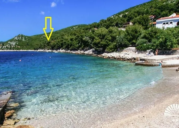 Lomea 아파트 프리즈바